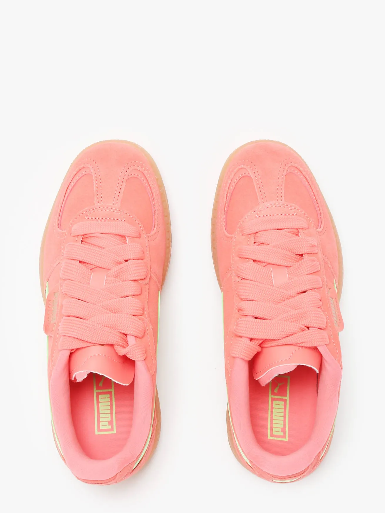 Sneakers Palermo Moda Xtra Gum en cuir PUMA